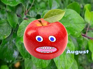 8-August