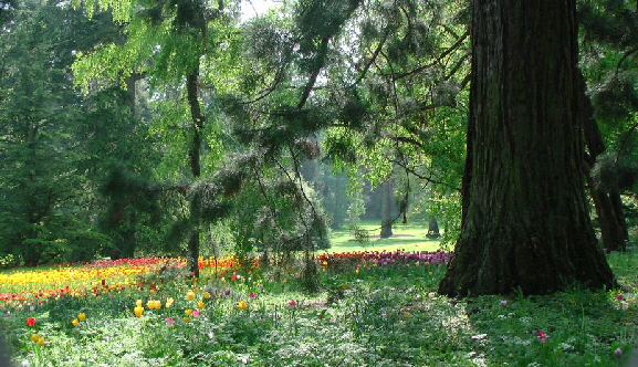 Insel Mainau